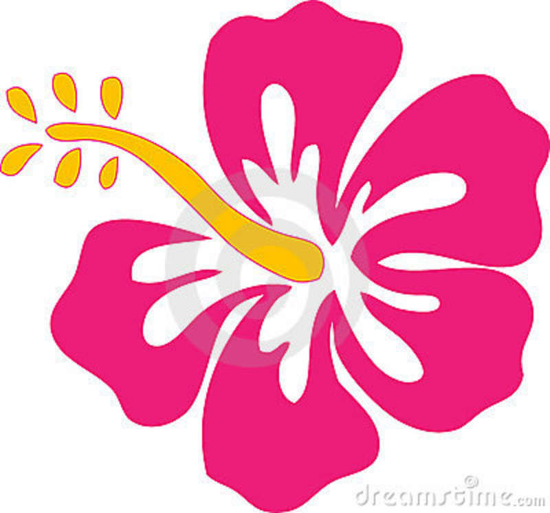 clipart hibiscus flower - photo #33
